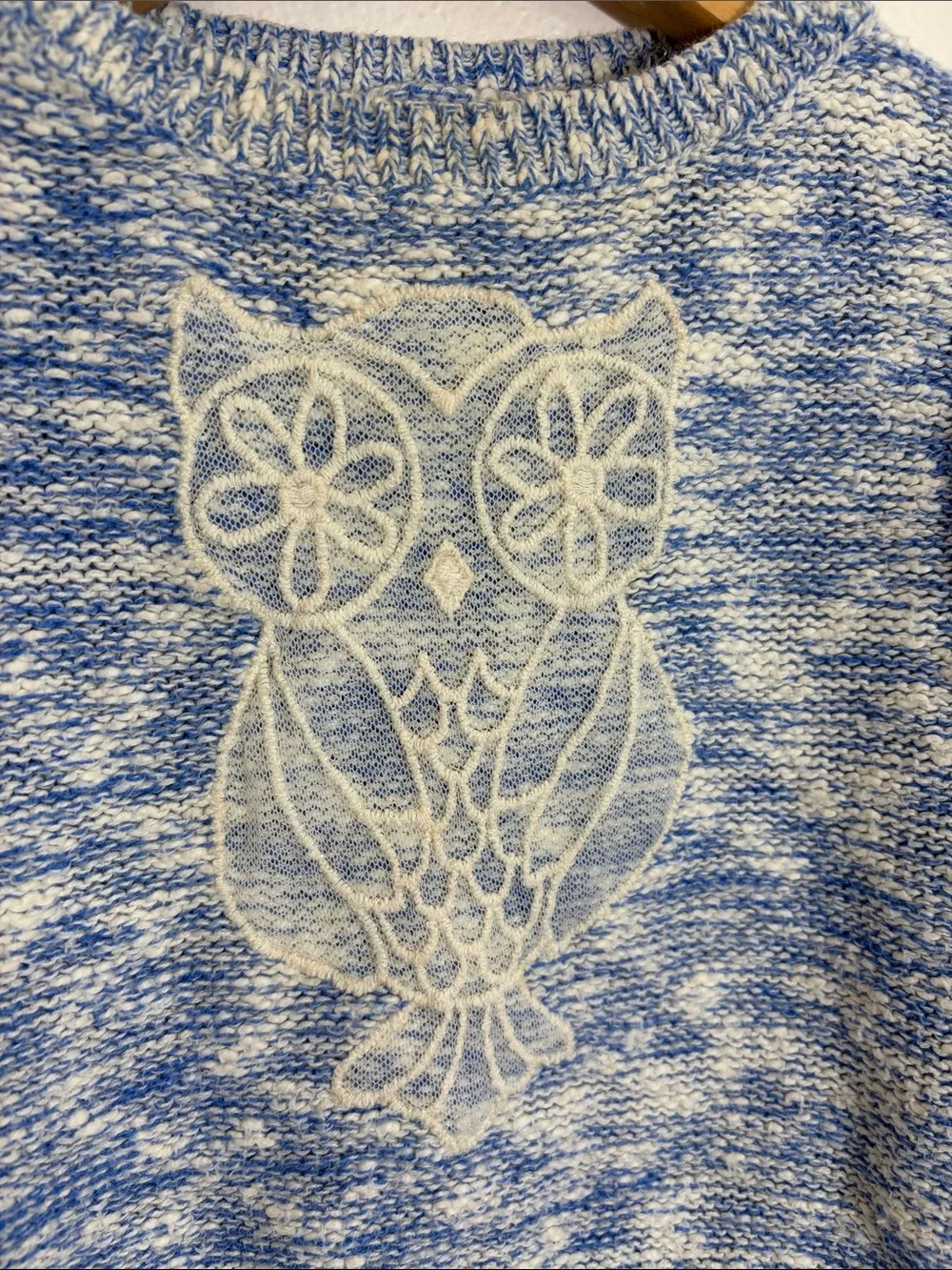Baby Gap Blue Marled Knit Sweater with Owl Motif